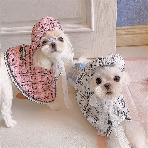 chanel dog dress|coco chanel dog accessories.